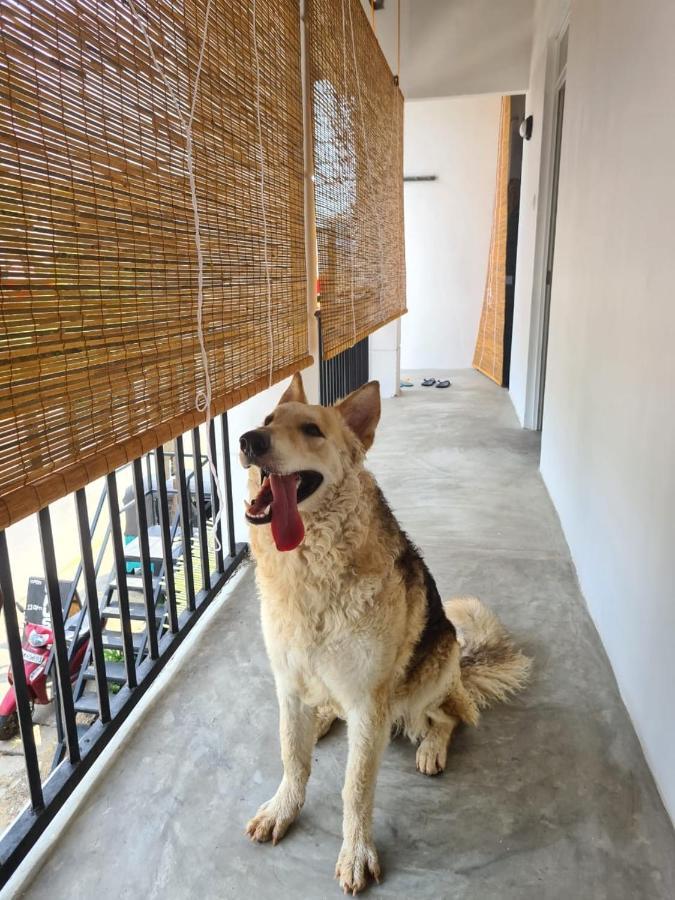 A Pousada Dip N Doze Ahangama Exterior foto